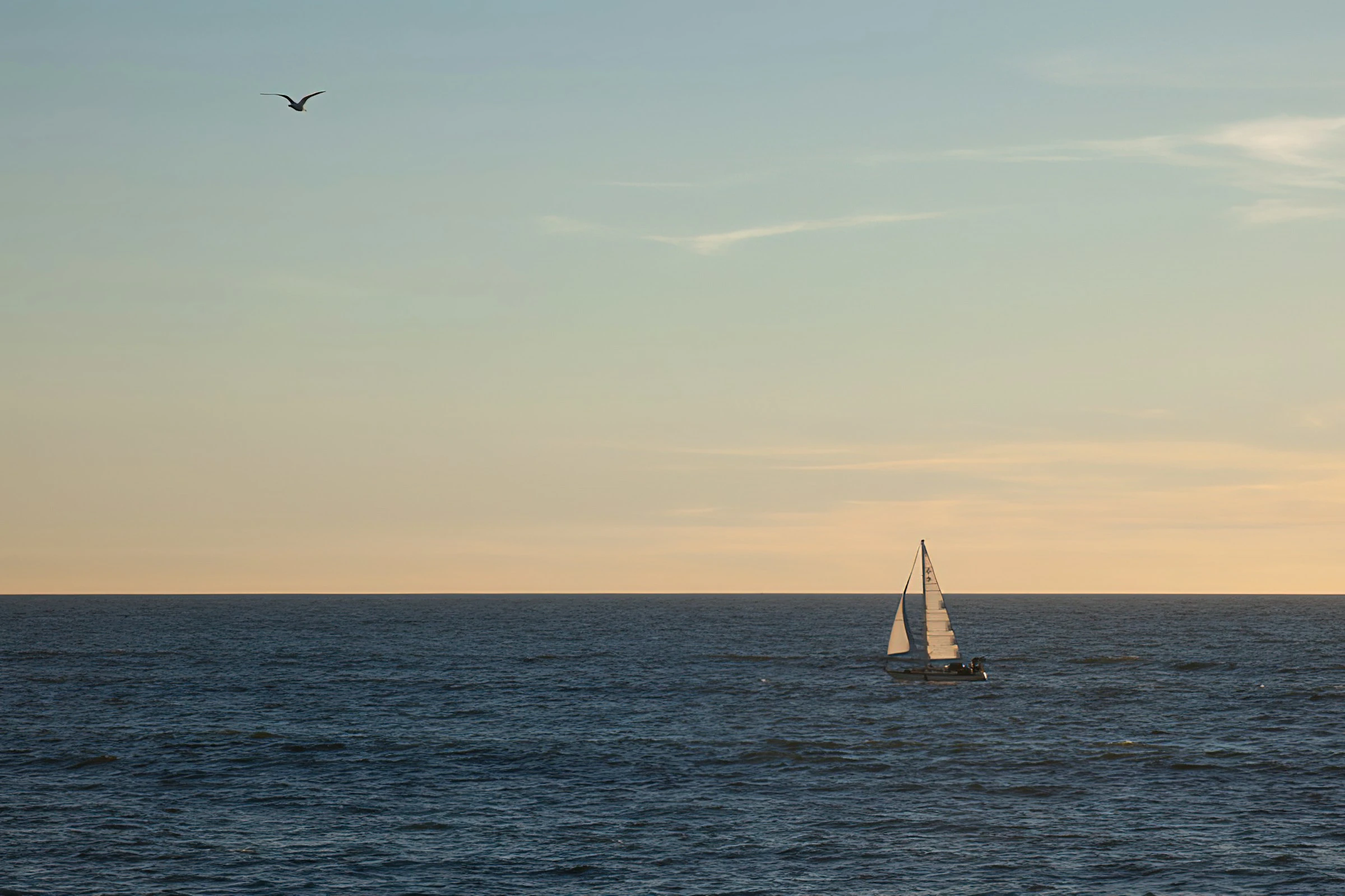 Sailboat Ocean